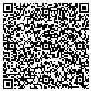QR code with Public Storage contacts