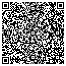 QR code with PVT Networks-Sprint contacts