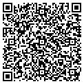 QR code with Soleil contacts