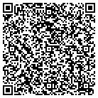 QR code with Blimpie Subs & Salads contacts