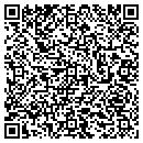 QR code with Productive Solutions contacts