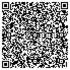 QR code with Spring Water Pools contacts
