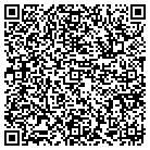 QR code with Pub Bar & Liquors Inc contacts