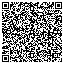 QR code with Pro Data Solutions contacts