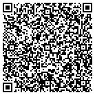 QR code with Bluze Investments Inc contacts