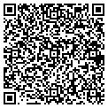 QR code with Shell contacts