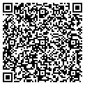 QR code with Amway contacts