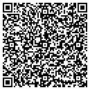 QR code with Protek Electric contacts