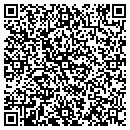 QR code with Pro Line Electric Inc contacts