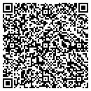QR code with Carlson Construction contacts