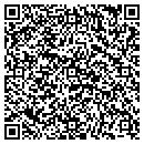 QR code with Pulse Magazine contacts