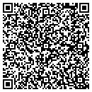 QR code with Carlin Ace Hardware contacts