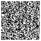 QR code with Spring Creek Auto Sales contacts
