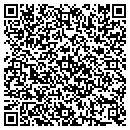QR code with Public Storage contacts
