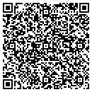 QR code with Cypress Systems Inc contacts