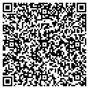 QR code with Prater Minis contacts