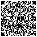 QR code with Pyramid Landscape LLC contacts