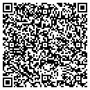 QR code with PS Auto Sales contacts