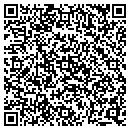 QR code with Public Storage contacts
