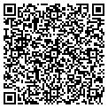 QR code with Amvets contacts
