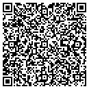 QR code with Psi Group Inc contacts