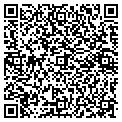 QR code with Dynax contacts