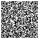 QR code with Pro Handyman contacts