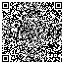 QR code with Color Design Systems contacts