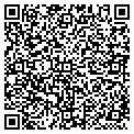 QR code with Cesi contacts