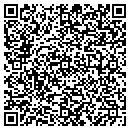 QR code with Pyramid Realty contacts
