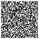 QR code with Swan Pools Inc contacts