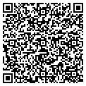 QR code with Z Cafe contacts
