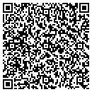 QR code with Public Storage contacts