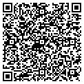 QR code with Nettis contacts