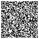 QR code with Concepts West Agency contacts