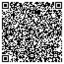 QR code with Cyber Zone Computers contacts