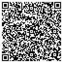 QR code with Public Storage contacts