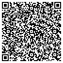 QR code with Public Storage contacts