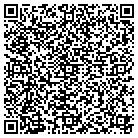 QR code with Serendipity Electronics contacts