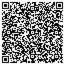 QR code with C & P Water Systems contacts
