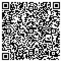 QR code with Saflok contacts