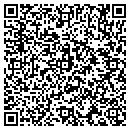 QR code with Cobra Financial Corp contacts