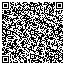 QR code with Process Server Inc contacts