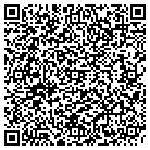 QR code with Pulse Magazine Corp contacts