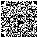 QR code with Celerity Consulting contacts