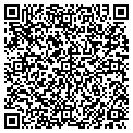 QR code with Tile Co contacts