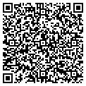 QR code with Tacone contacts