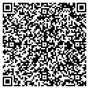 QR code with Premier Spas & Patio contacts