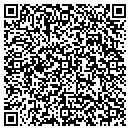 QR code with C R Online Ventures contacts