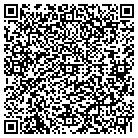 QR code with Pulido Construction contacts